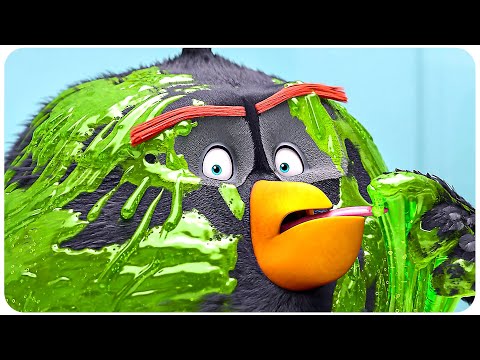 ANGRY BIRDS 2 Funniest Scenes 4K ᴴᴰ