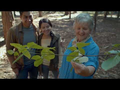 Better Place Forests :60 Commercial