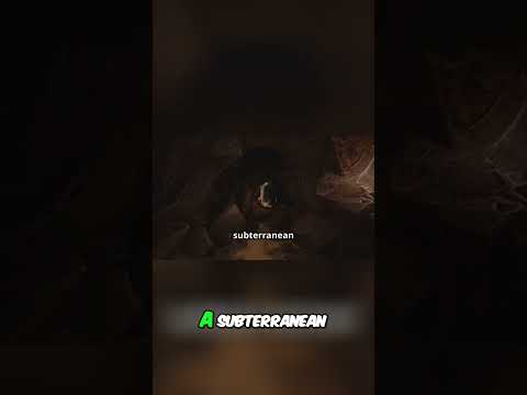 Journey to Earth's Core: Unveiling the Secrets of Lava River Cave