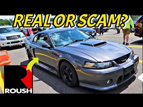 Was this Mustang a CLONE or THE CHEAPEST Roush EVER?