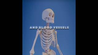 Download lagu YO-HO-HO 💀 | Brook #zackdfilms #edits #anime #onepiece mp3 Download lagu YO-HO-HO 💀 | Brook #zackdfilms #edits #anime #onepiece mp3