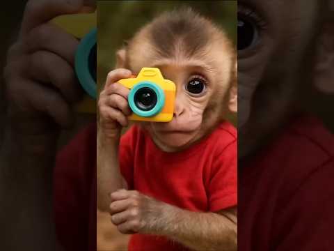 monkey Ne hamari photo khinch Li 😀😂 #shorts