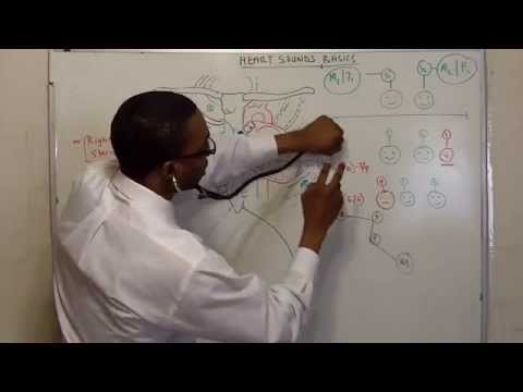 HEART SOUNDS made so simple!