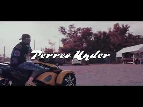 Alberto Style Perreo Under