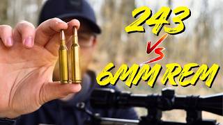 6mm Remington vs .243 Winchester | Head To Head Results