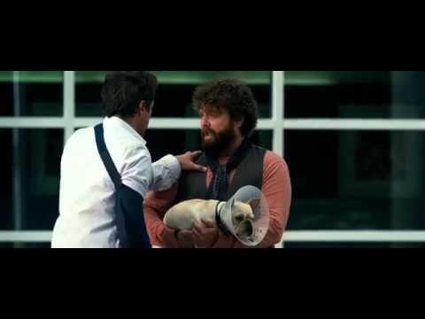 Tráiler Todo un parto