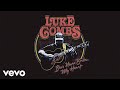 Luke Combs - Beer Never Broke My Heart (Audio)