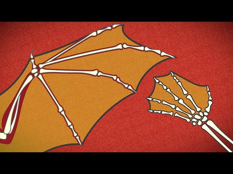 How Bats Fly | HowStuffWorks Animations