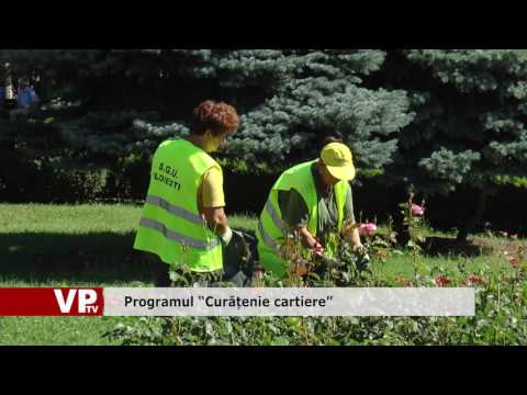 Programul “Curățenie cartiere”