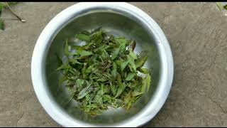 Santali Tribe Cooking And Eating Neem Leaves For Health