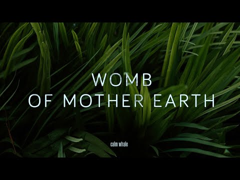 Slow Shaman Drum : ROOT Chakra : Rebirth of Mother Earth 🌳🌍 Deep Grounding Meditation