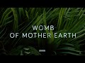 Slow Shaman Drum : ROOT Chakra : Rebirth of Mother Earth 🌳🌍 Deep Grounding Meditation