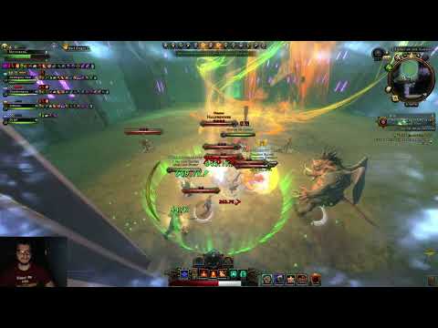 Neverwinter - Advanced Demonweb Pits Dungeon - Cleric Devout