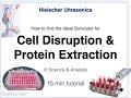 How to Find the Perfect Sonicator for Cell Disruption and Protein Extraction in Science and Analysis