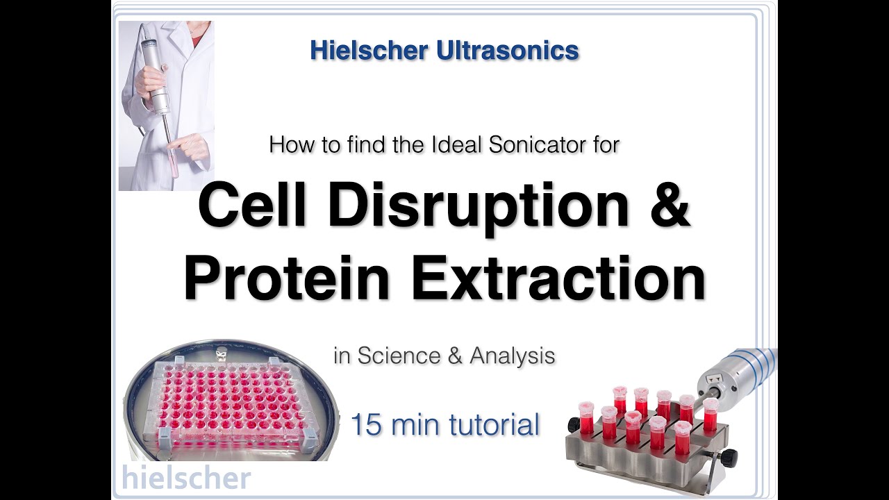 How to Find the Perfect Sonicator for Cell Disruption and Protein Extraction in Science and Analysis