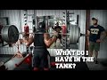 Testing My Strength | Thanksgiving Weight Gains? | The Return Ep. 15