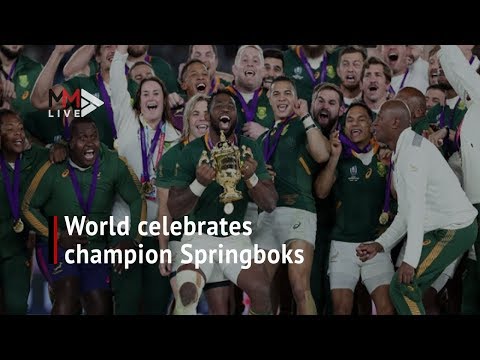 Breaking records &amp; a shoutout from Federer Springboks celebrated globally