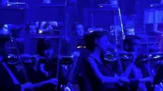 Rick Wakeman, Journey To the Centre of the Earth. Live at the Royal Albert Hall, 30/4/14. Finale.