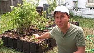 FREE Plastic Crate Raised Bed Garden Update and Irrigation Install