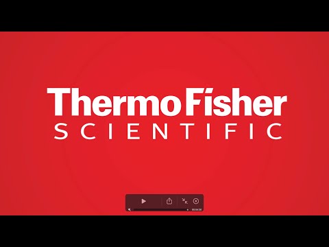 Thermo Fisher Scientific - StoryLab IDD Barcelona