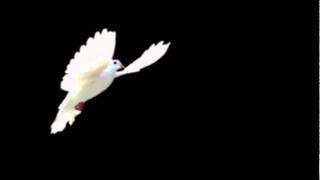 The Problem, JJ Cale