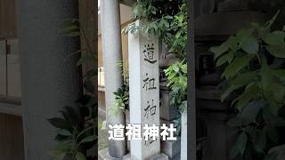 【京都】道祖神社でまさかの出会い！かわいい白猫を発見