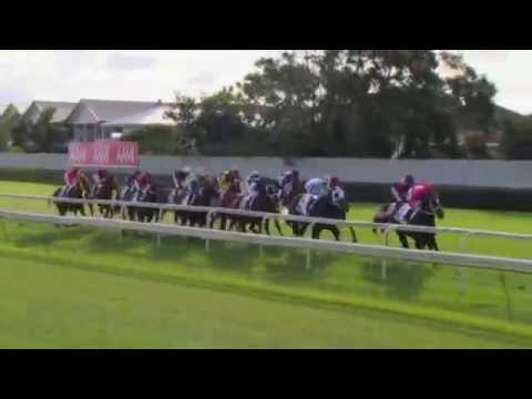 2015.06.06 Queensland Derby - Magicool