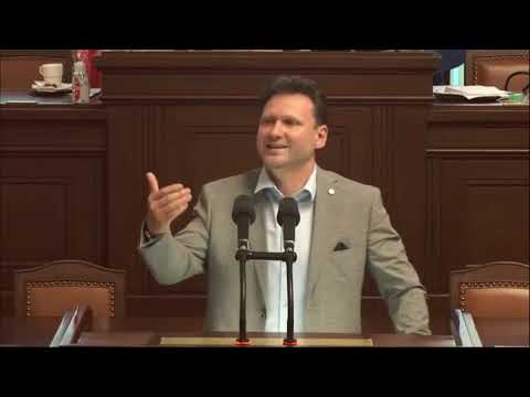 Zpravodaj shrnuje ve sněmovně usnesení ústavněprávního výboru ke korespondenční volbě