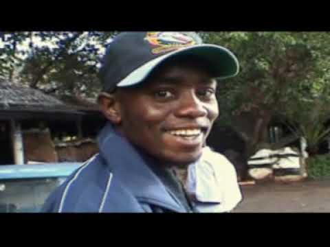 Salim Junior - Arata