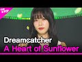 Dreamcatcher, A Heart of Sunflower (드림캐쳐, 해바라기의 마음) [THE SHOW 210810]