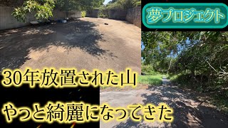夢プロ、30年放置された山の開拓が進む進む！