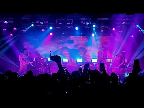 Dzsúdló x Berta'Lami - Állat | Akvárium Klub (2021)