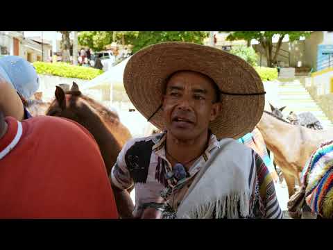 Jornada de Bienestar Equino 2025