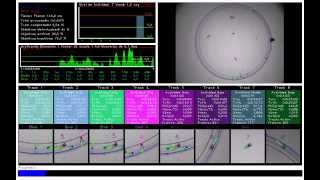 Orlando (1992) – Trailer (O Cinema)