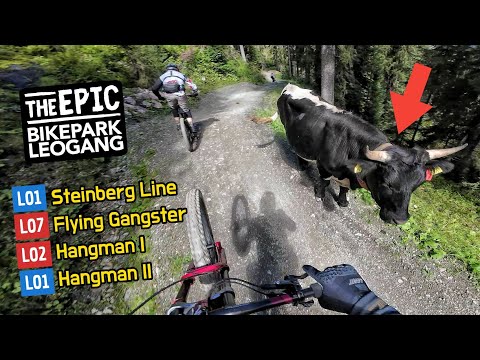 BIKEPARK LEOGANG 2023 alle leichten MTB Strecken | Steinberg Line, Hangman 1 & 2,  Flying Gangster