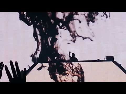 Avicii @ Paris Bercy - Dear Boy - HQ