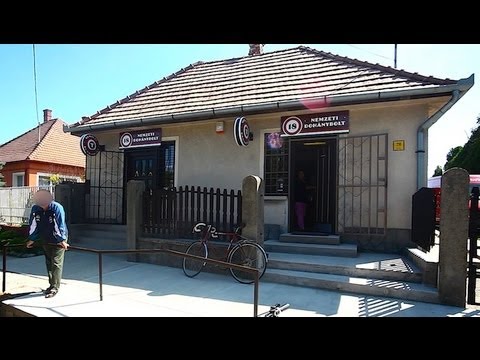 Melyikbe menjek, Józsi? Amelyikbe akarsz!