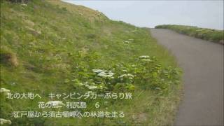 preview picture of video '北の大地へ キャンピングカーぶらり旅 花の島 礼文島 江戸屋-須古頓 林道'