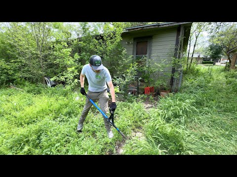 Brother and Sister PASS AWAY, leaving their neighboring homes UNTAMED