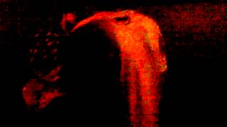 Gaping Anus live @ The Elephungeon