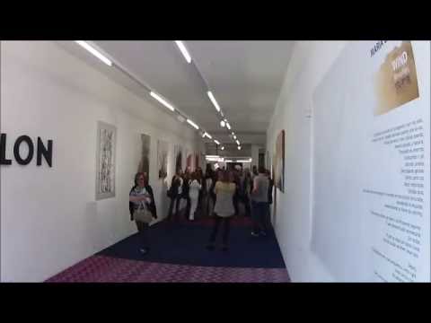 MARIA EMAUZ PAINTINGS - 2016