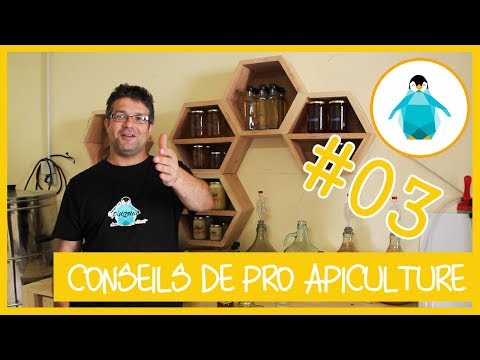 , title : 'Conseils d'un apiculteur pour débuter l'apiculture - LADP #3'