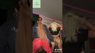 VIRAL Karlye Taylor Dance Compilation | Best Trending TikTok Dance Moments #Shorts