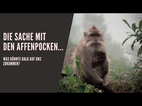 Die Sache mit den Affenpocken...Was KÖNNTE bald auf uns zukommen?