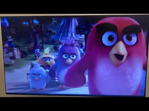 "Animal Age" Part 8 - Bird Fight