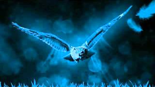 ORANGE - FLYING THROUGH THE NIGHT