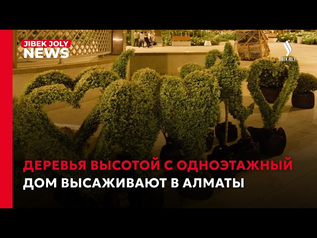 Редкие деревья высадили ко Дню города