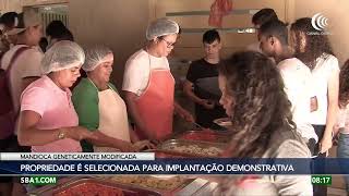 Miniatura do vídeo