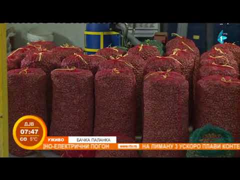 Unosna proizvodnja lešnika