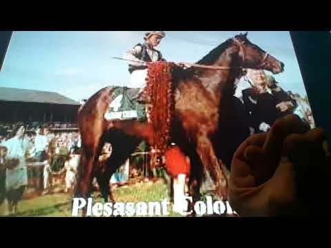 Horacio the handsnake - Pleasant Colony (racehorse)